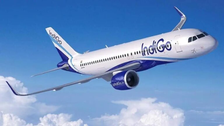 indigo-1-1747072895.jpg