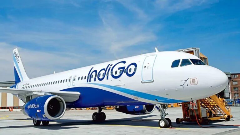indigo-2-1747156597.jpg