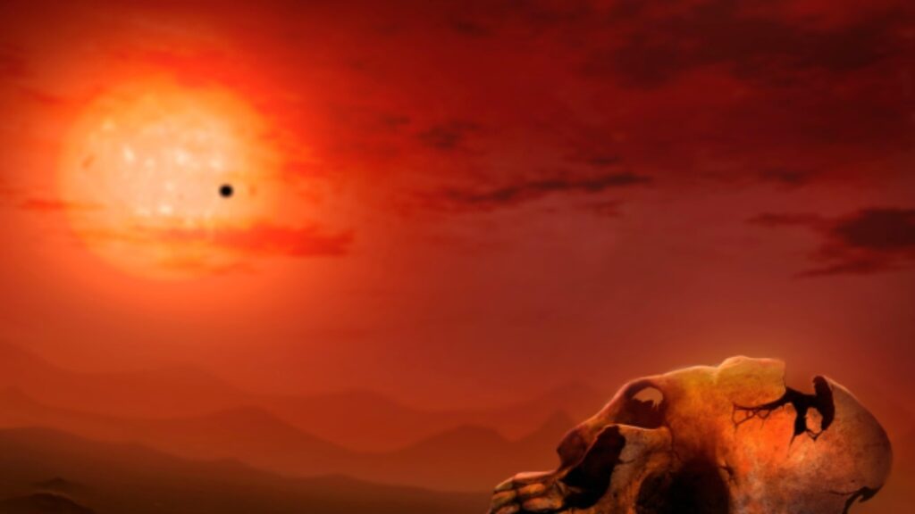 life-on-earth-1747154322.jpg