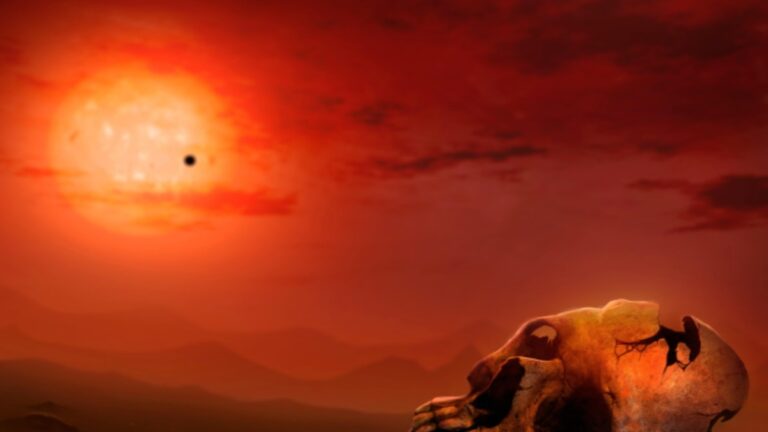 life-on-earth-1747154322.jpg
