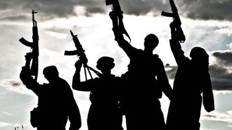 terrorists-1746865774.jpg