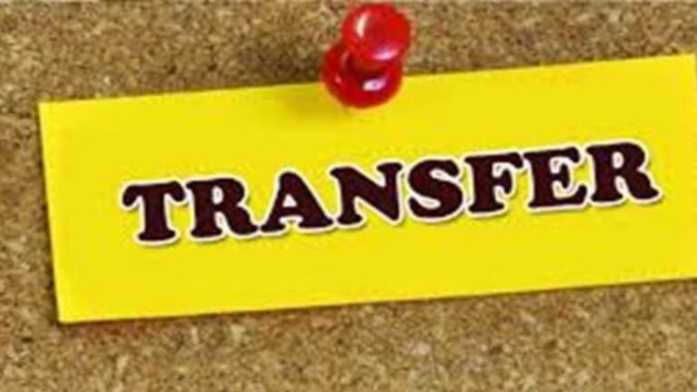transfer-1747408160.jpg
